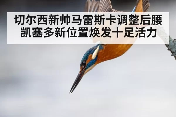 切尔西新帅马雷斯卡调整后腰 凯塞多新位置焕发十足活力